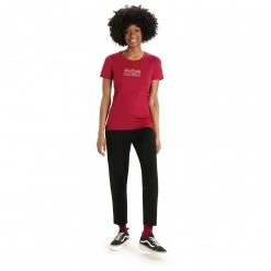 Icebreaker - Women's Tech Lite II S/S Tee Mountain Geology - T-shirt en laine mérinos 9 Icebreaker - Women's Tech Lite II S/S Tee Mountain Geology - T-shirt en laine mérinos -Tée-shirts Soldes icebreaker womens tech lite ii s s tee mountain geology t shirt en laine merinos detail 4